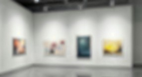 Cliquez ici pour visiter ma Galerie